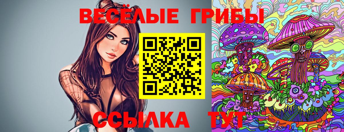 Галлюциногенные грибы мицелий  Вход с VPN  Черногорск 