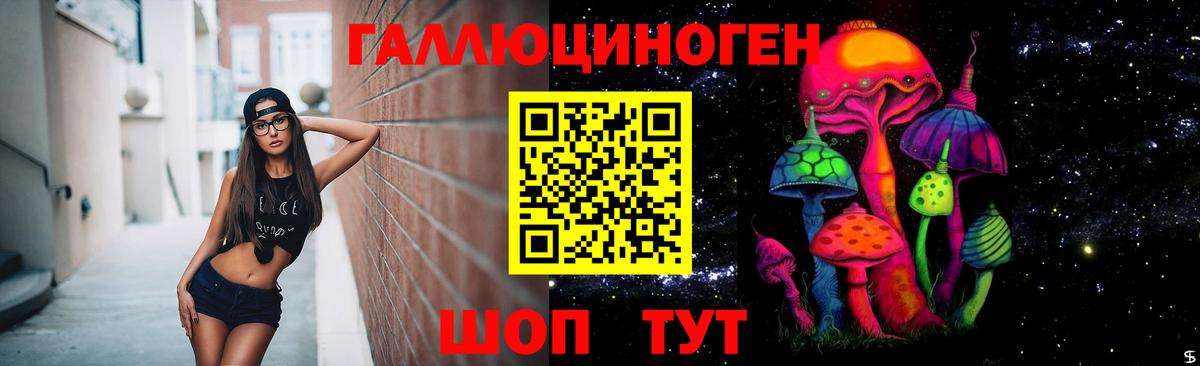 Псилоцибиновые грибы GOLDEN TEACHER Черногорск